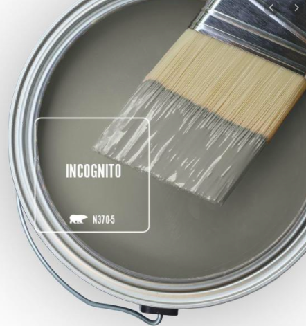 Paint brush dipped in Behr Incognito Paint