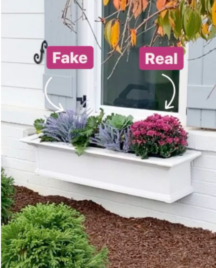 Mixing Fake and Real Flowers Window Boxes